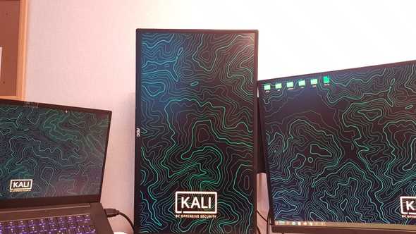 Multiple external monitors on an Optimus laptop running Kali linux